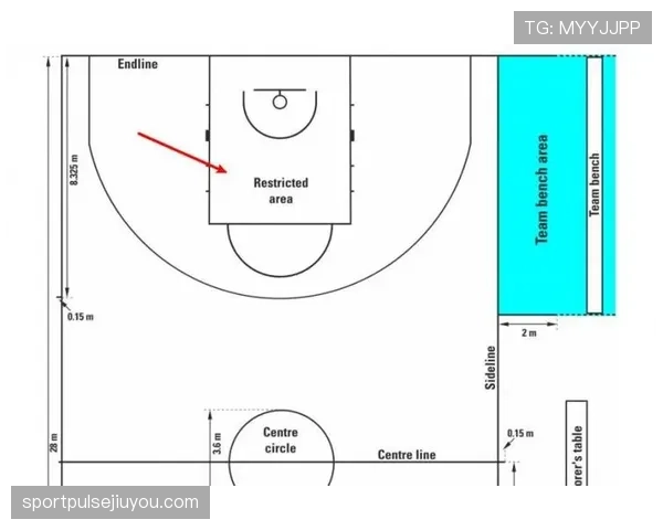 FIBA与NBA比赛规则的五点重要区别,篮球爱好者必看 FIBA与NBA比赛规则的五点重要区别,篮球爱好者必看
